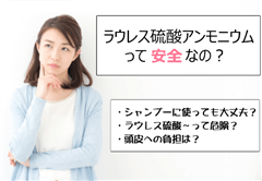 ׳ڽ���_���Ƴт̼���߰�̈��S���́H