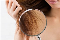 ׳�ݎ_�͓��炪�������₷�����ɂ͌����Ȃ�